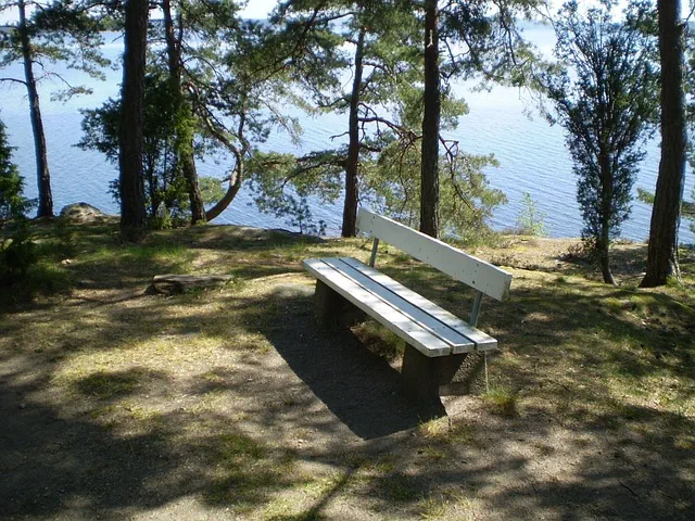 Gedanken-und-Entscheidungen