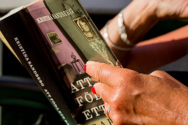 Der perfekte Buchtitel