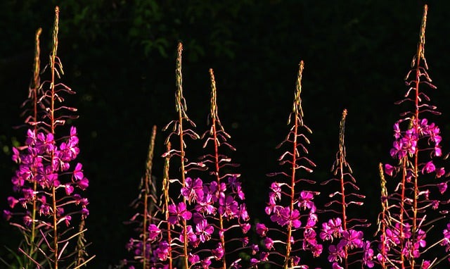 Erfahre, wie die Kraft der Gewohnheit dein Leben formt. Lerne einfache Methoden, um positive Routinen zu etablieren und dein Unterbewusstsein dauerhaft zu stärken.